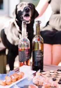 8 Chains Krysta Norman PHOTO 91 WEB 717x1024 1 210x300