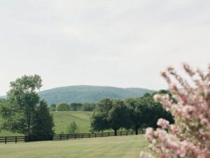 Al Fresco Soiree Jen Fariello 8 2000px 500x375 1 300x225